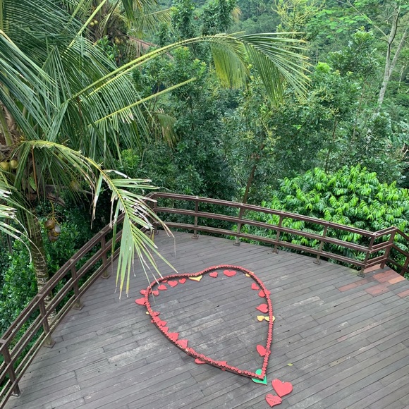 Meet your Posher, Jimena - Picture 1 of 1